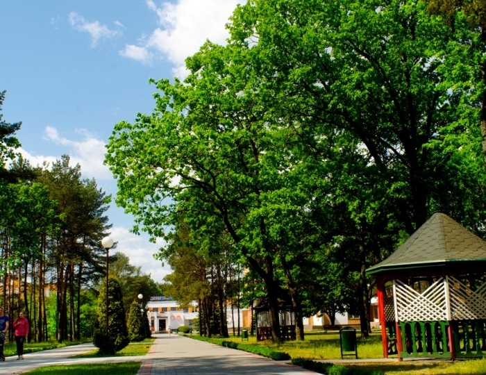 Санаторий «Алеся» Беларусь